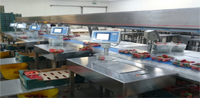 蘇州哪里有賣(mài)60kg食品廠專用電子秤